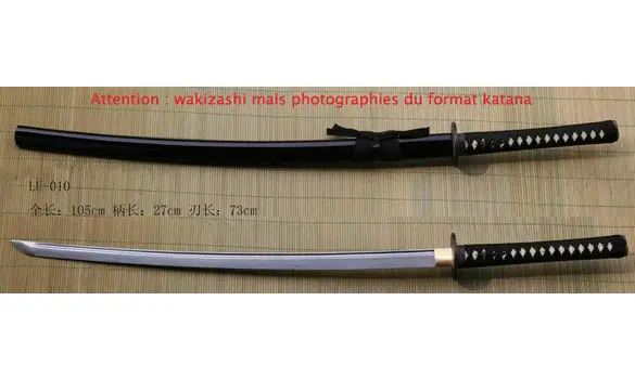 Wakizashi Kokoro Munashiku